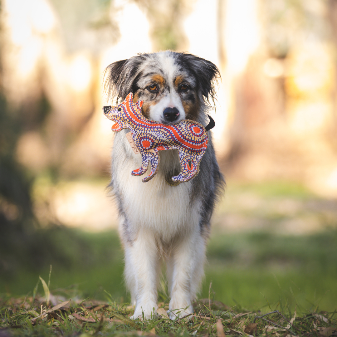 Outback Tails - Wholesale Kauwspeeltje voor honden - Hond - Kauwspeeltje voor honden in de woestijn - Trevor4