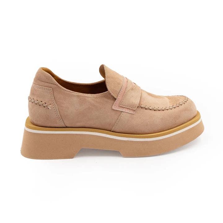 Vanda für den Großhandel von Casta