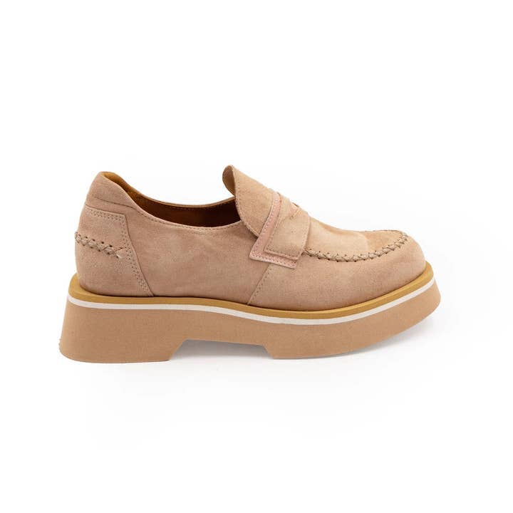 Vanda for wholesale by Casta