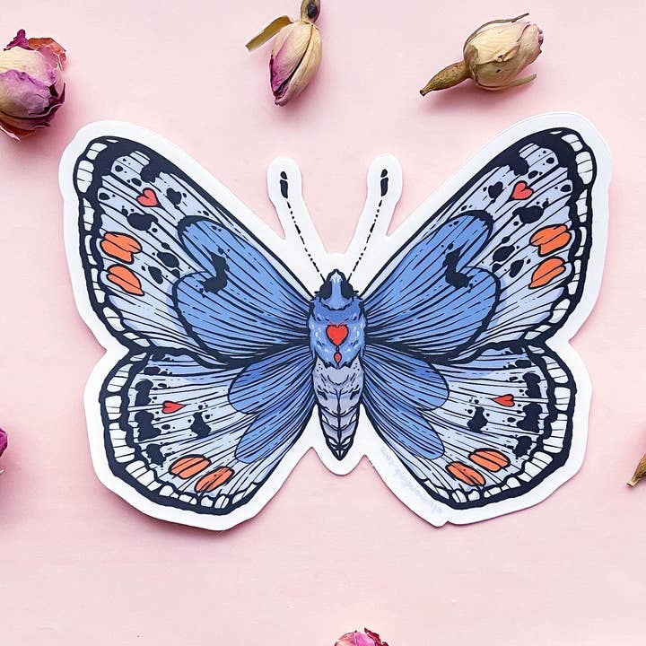 Sonoran Blue Butterfly Clear Vinyl Sticker for wholesale by Alum and Ink