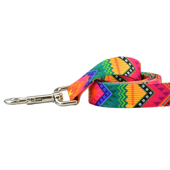 EarthStyle BFF (Best Friends Forever) Dog Leash for wholesale by 2 Hounds Design