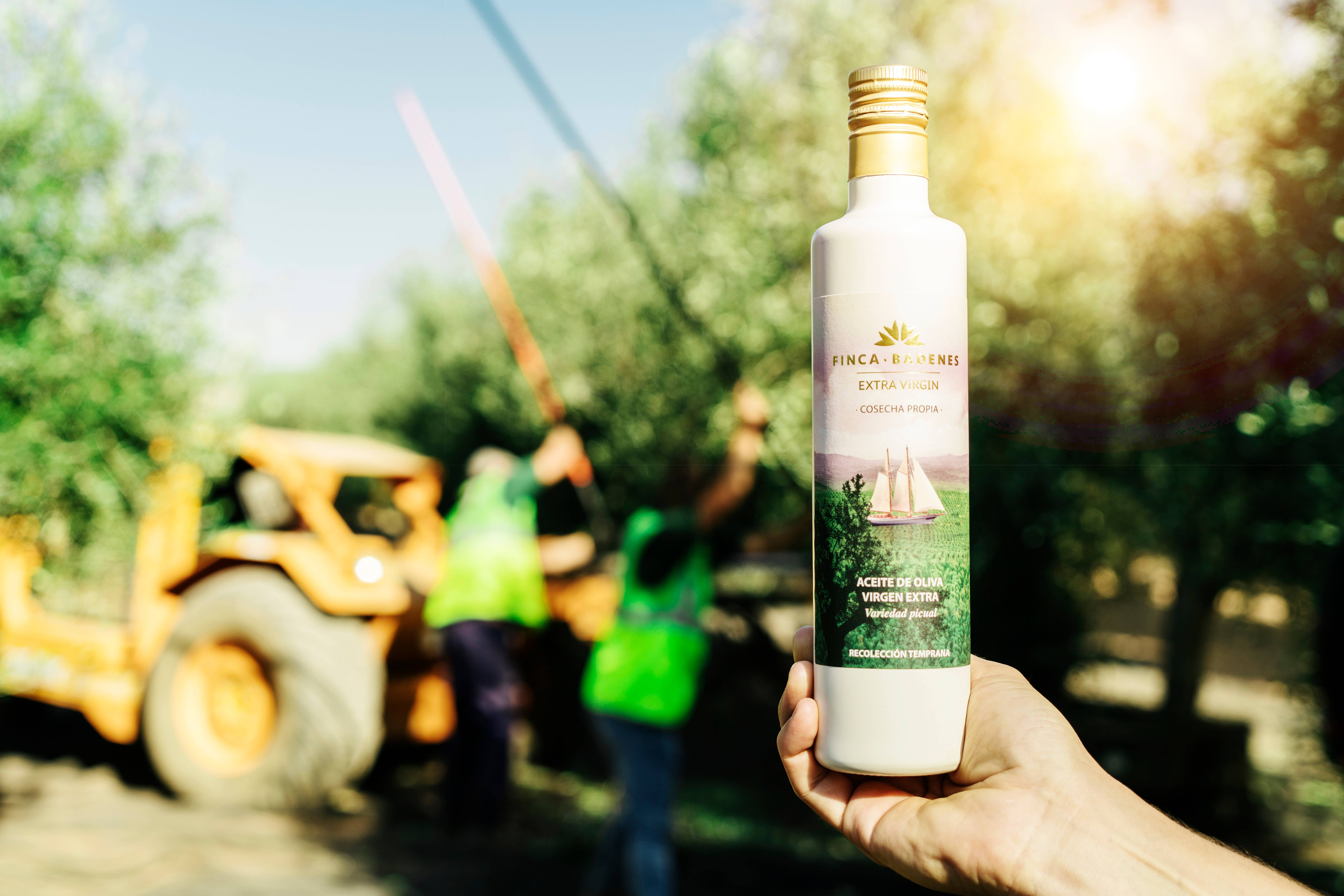 AIRES DE JAEN - Venta al por mayor Aceite de oliva - PACK 12 x 500ml AOVE Finca Badenes PICUAL cosecha temprana5