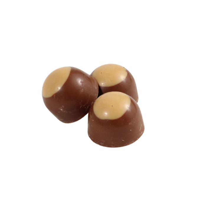 Coblentz Chocolate Company - Vente Friandises enrobées de chocolat - Buckeyes au lait et au beurre de cacahuètes en bouchée 4