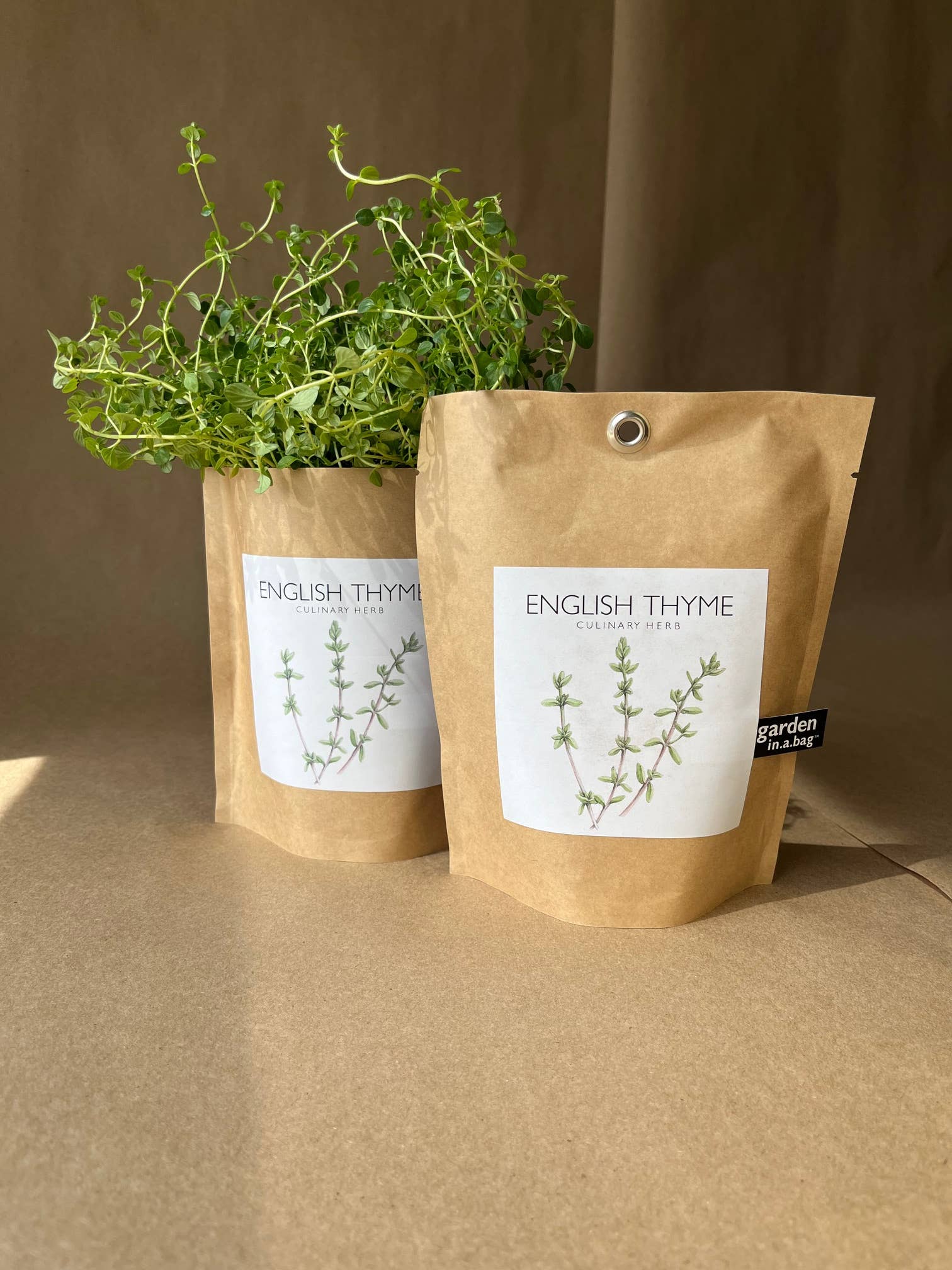 Potting Shed Creations, Ltd. - Wholesale Plant Seeds - Garden in a Bag | English Thyme | Spring Kitchen Garden Gift1