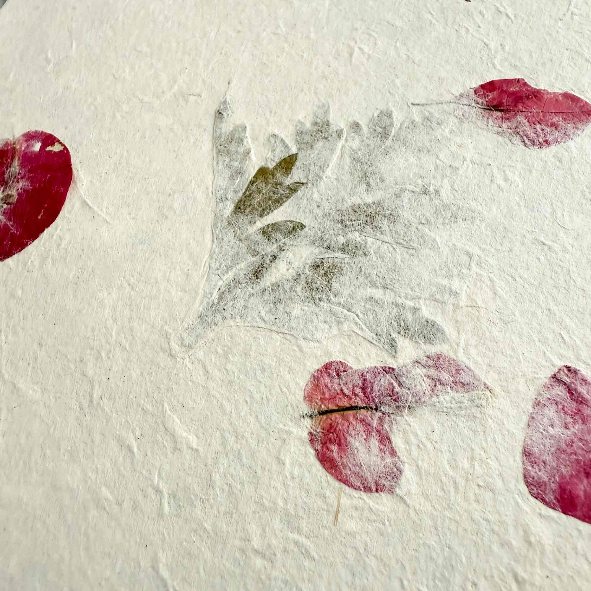 The Natural Paper Company – Conjunto de notas por atacado – Papel e Envelopes Artesanais de Lokta do Nepal - Artemísia & Buganvília15