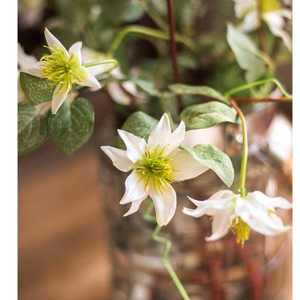 Rustic Reach - Wholesale Artificial Flowers - German Clematis Flower Stem in White 40" Tall2