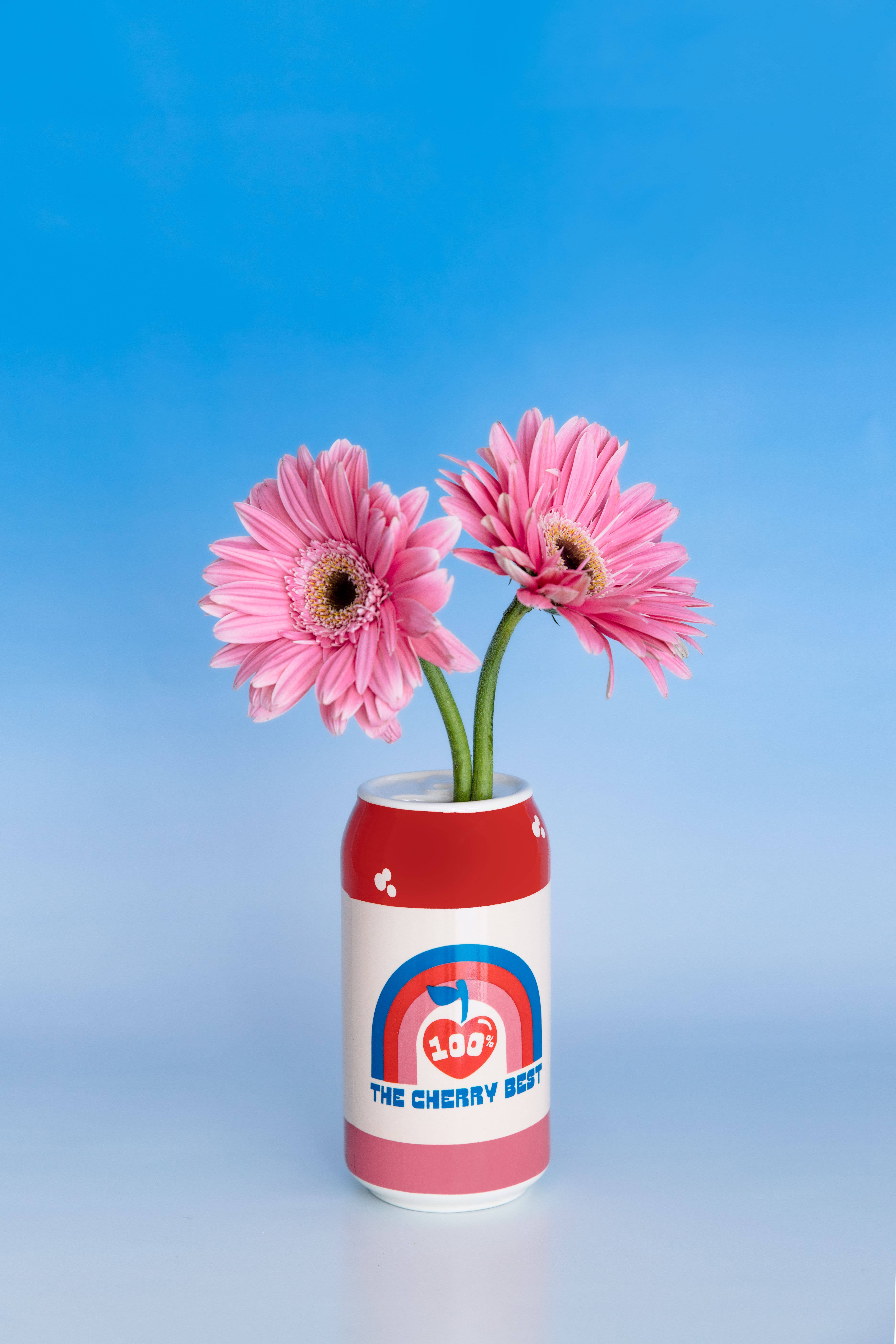 Ban.do - Wholesale Vase - Ceramic Vase, Lucky Cherry Cream Soda1