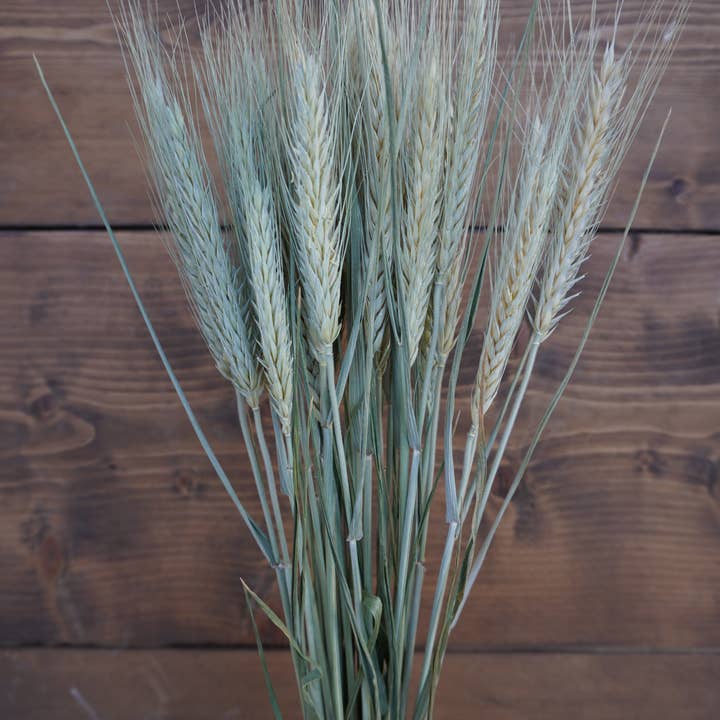 Dried Wheat/Rye Bouquet for wholesale by Gallup Homestead