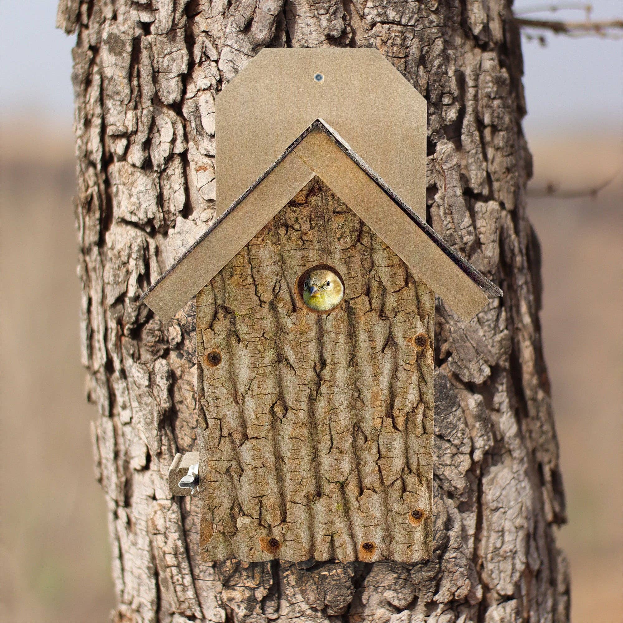 Kurated Korner – Großhandel Vogelhäuser – Onkel Dunkels ultimatives Vogelhaus von Zaunkönig und Chickadee6