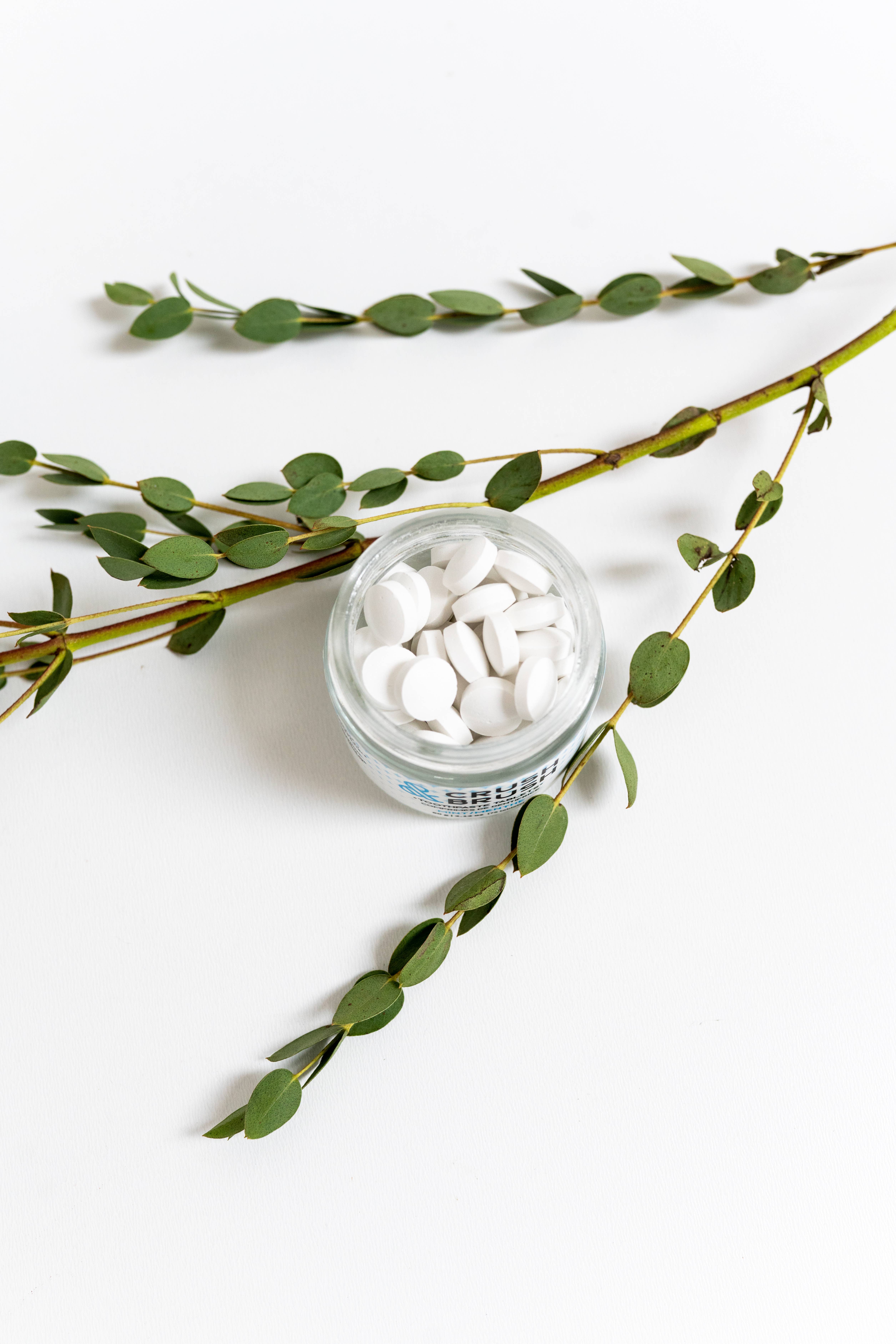 Nelson Naturals - Wholesale Toothpaste - Crush & Brush Toothpaste Tablet - MINT 60g/2.2oz1