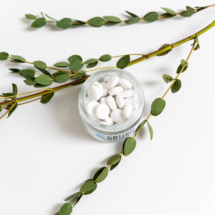 Nelson Naturals - Wholesale Toothpaste - Crush & Brush Toothpaste Tablet - MINT 60g/2.2oz1