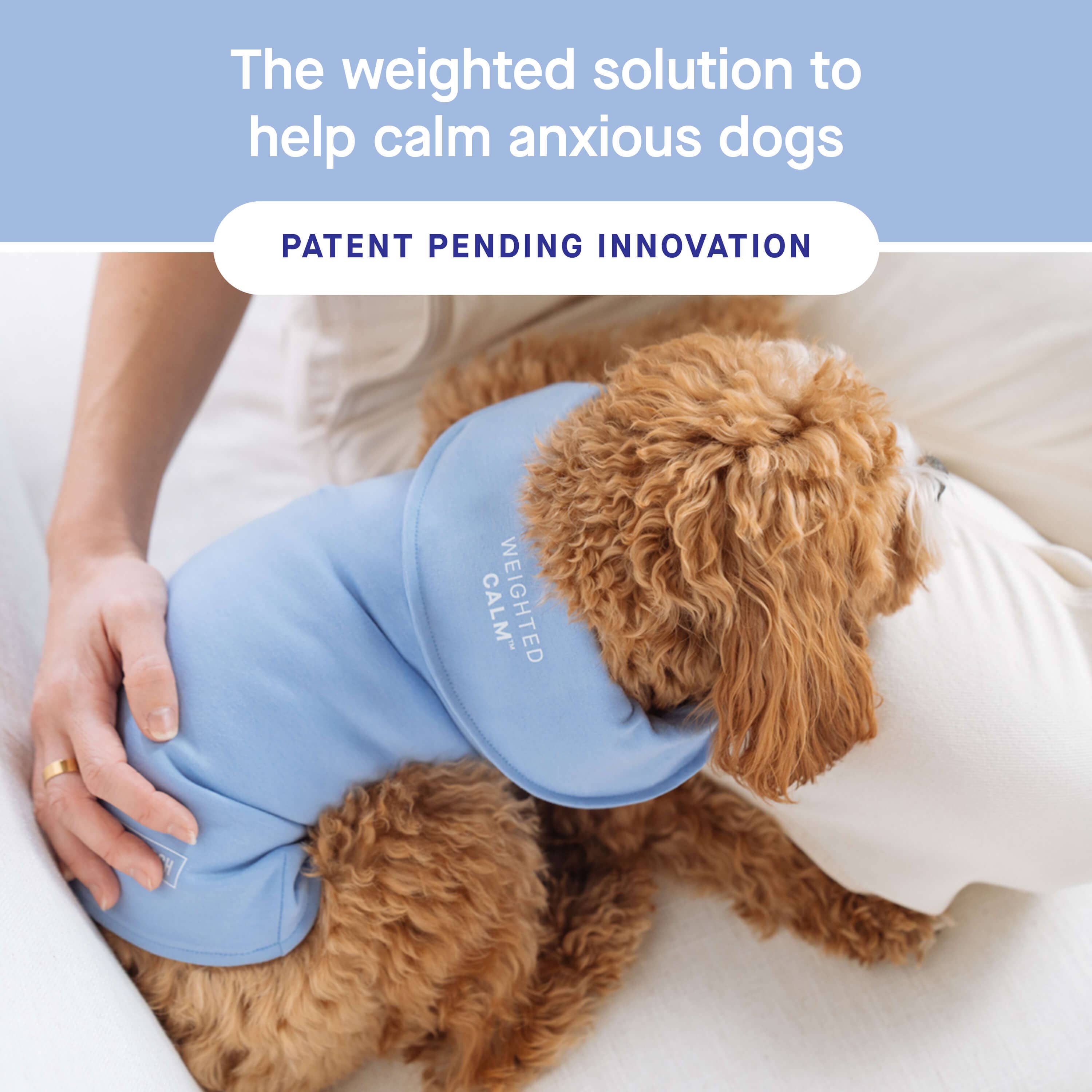 Canada Pooch – Großhandel Haustierweste – Hund – Weighted Calming Weste für Hunde5