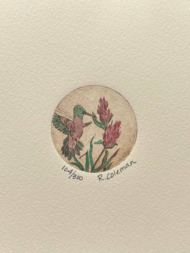 Hummingbird - Original Print, Etching, Artwork for wholesale by RCBenjamin Art