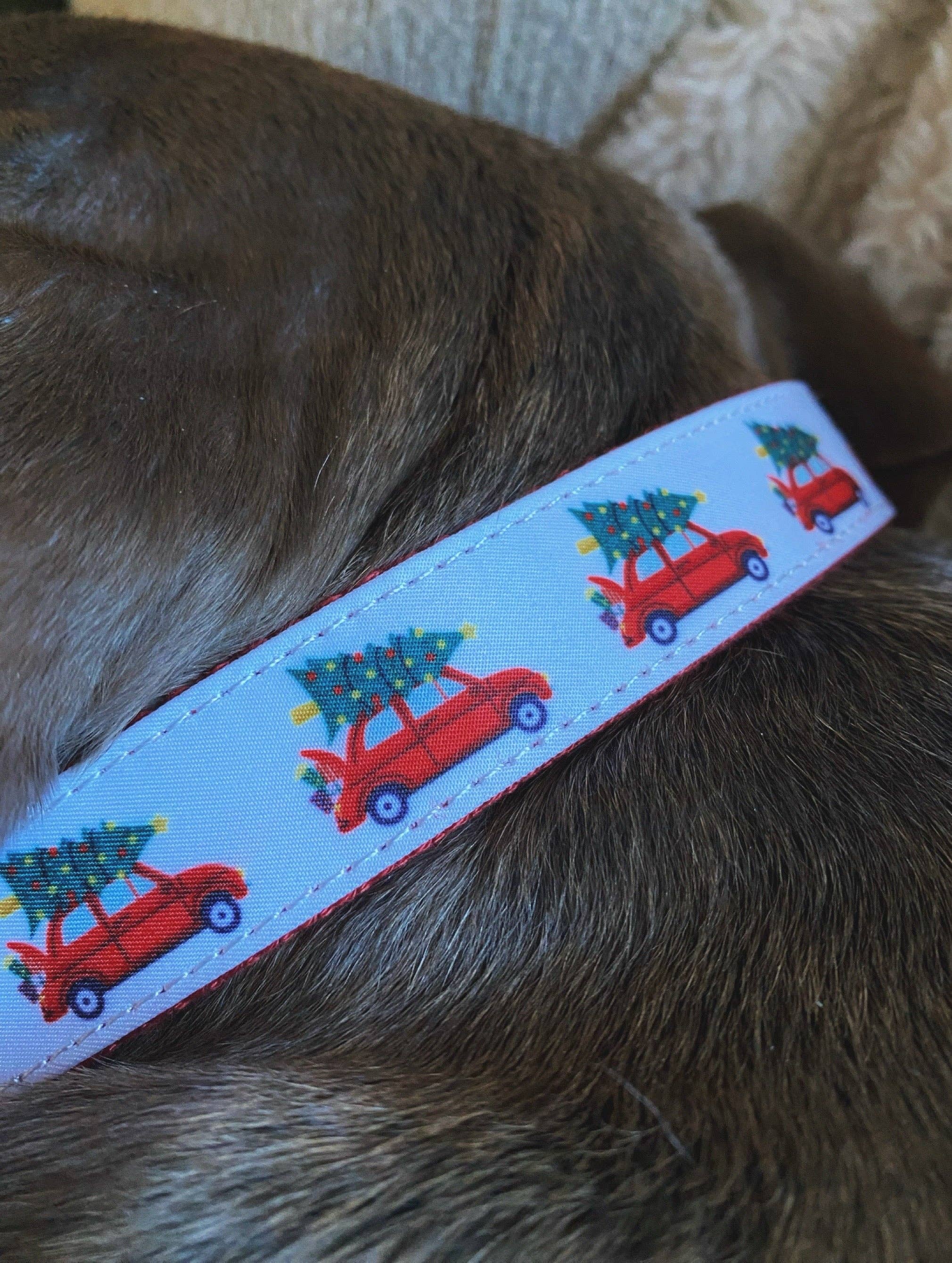Roxy & Co. Canine Accessories - Wholesale Pet Collar - Dog - CHRISTMAS CAR MARTINGALE DOG COLLAR2