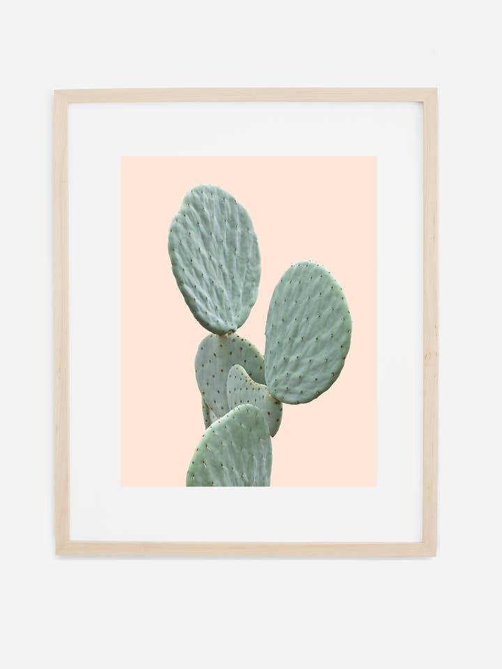 Estampado minimalista de cactus para venta al por mayor de Wilder California