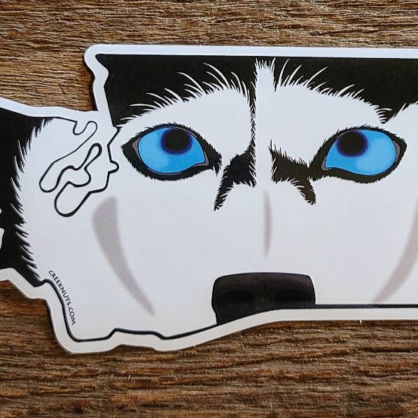 Washington Husky Sticker for wholesale by creeknuts.com
