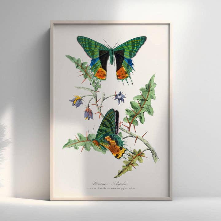 Impression d'Art Papillon Vintage - Illustration Botanique Élégante for wholesale by Vintage Wall Graphics