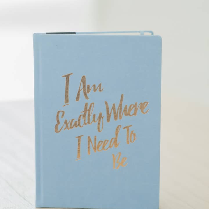 The Guided Gratitude Journal for Stress Relief for wholesale by PleaseNotes Goods - Affirmation-Filled Goods