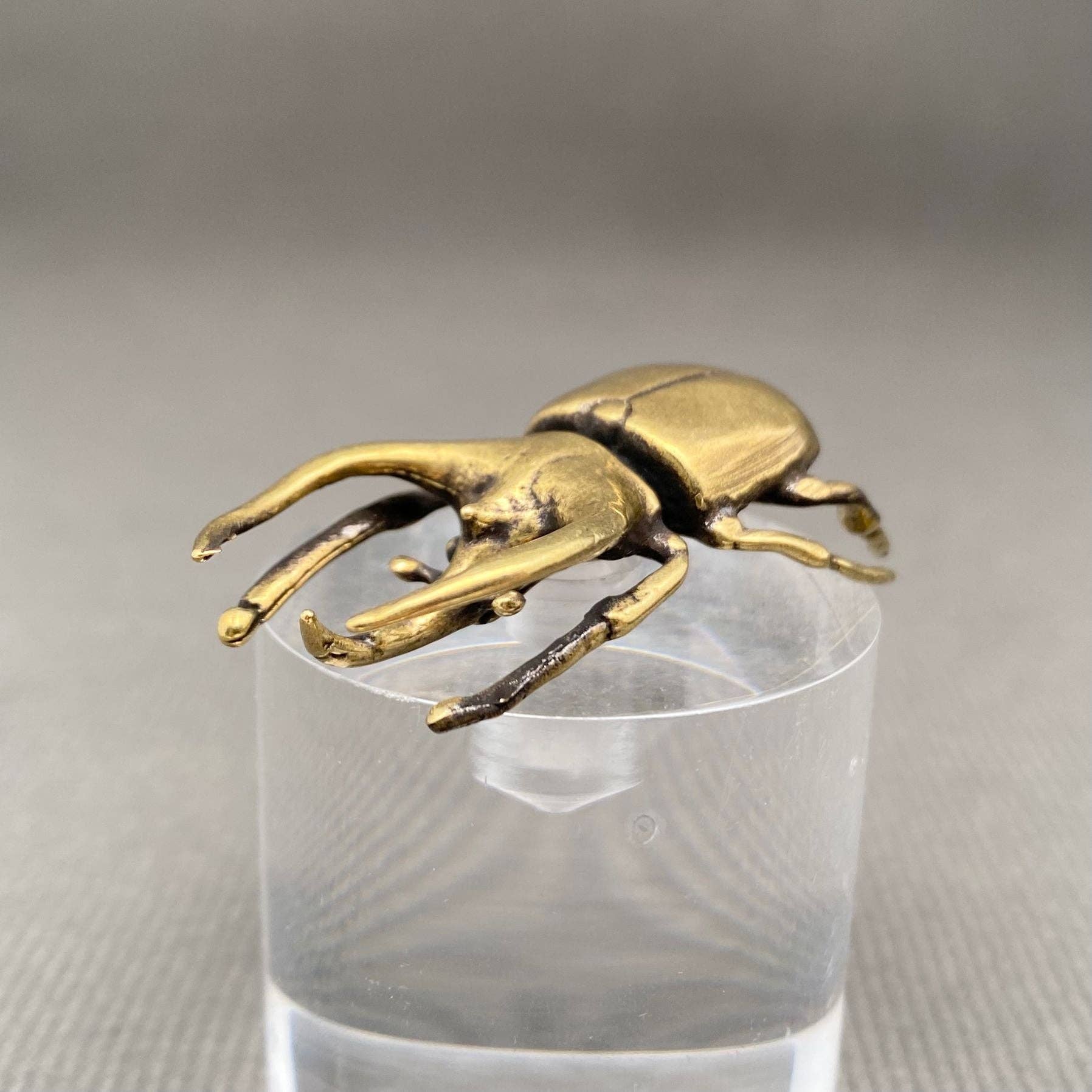 Mio Queena - Wholesale Decorative figurine - Brass Rhinoceros Beetle Crafts Desktop Ornaments Decoration1