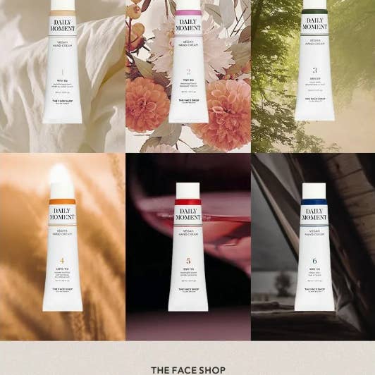 Best Beauty Group - Wholesale Hand Cream/Lotion - THE FACE SHOP Vegan Daily Moment Hand Cream Lotion