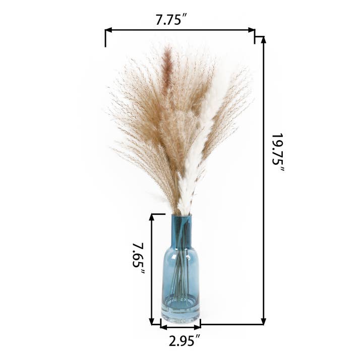 Flora Bunda Inc – wholesale Dried/pressed flowers – Pampas Grass in Glass Vase