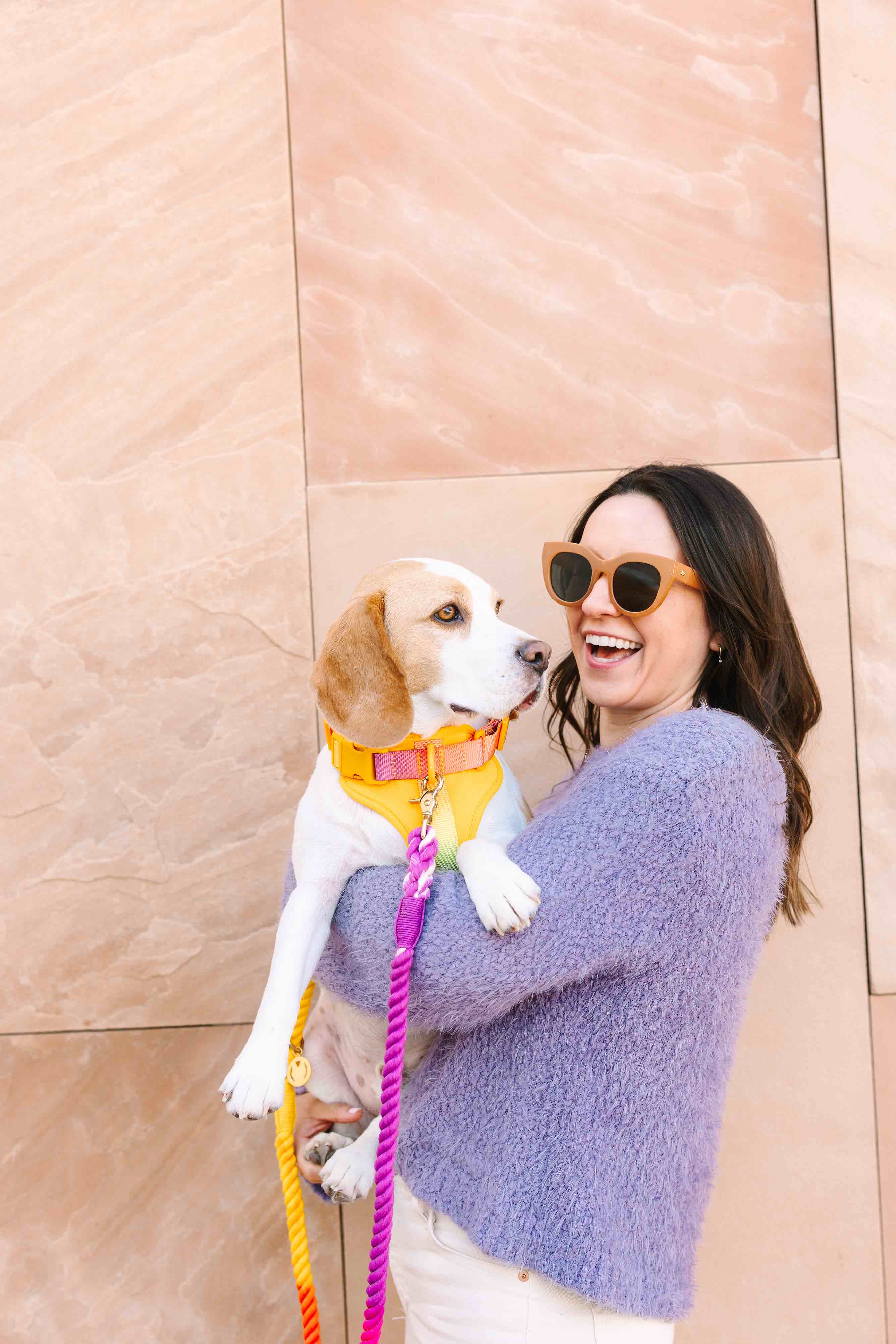 Pink Papyrus | Premium, Durable, & Stylish Dog Products - Wholesale Pet Harness - Dog - Kenna Dog Harness | Yellow Dog Harness | No Pull Dog Harness12