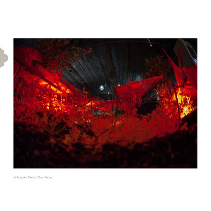 Schiffer Publishing - Wholesale Crafts, Hobbies & DIY - Taking the Flower Show Home3