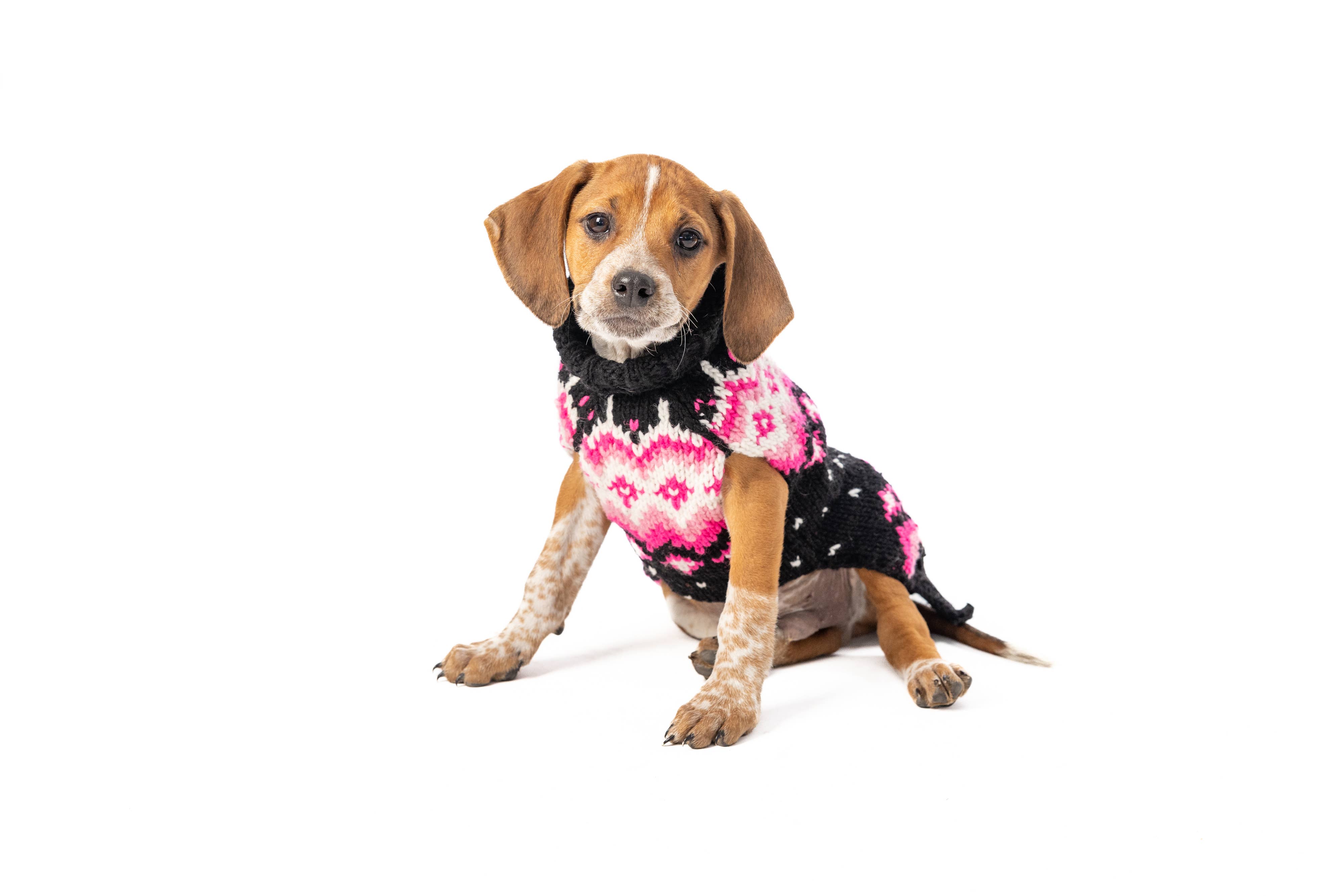 CHILLY DOG LLC – camisola - Cão por atacado – Camisola Artic Rosa1