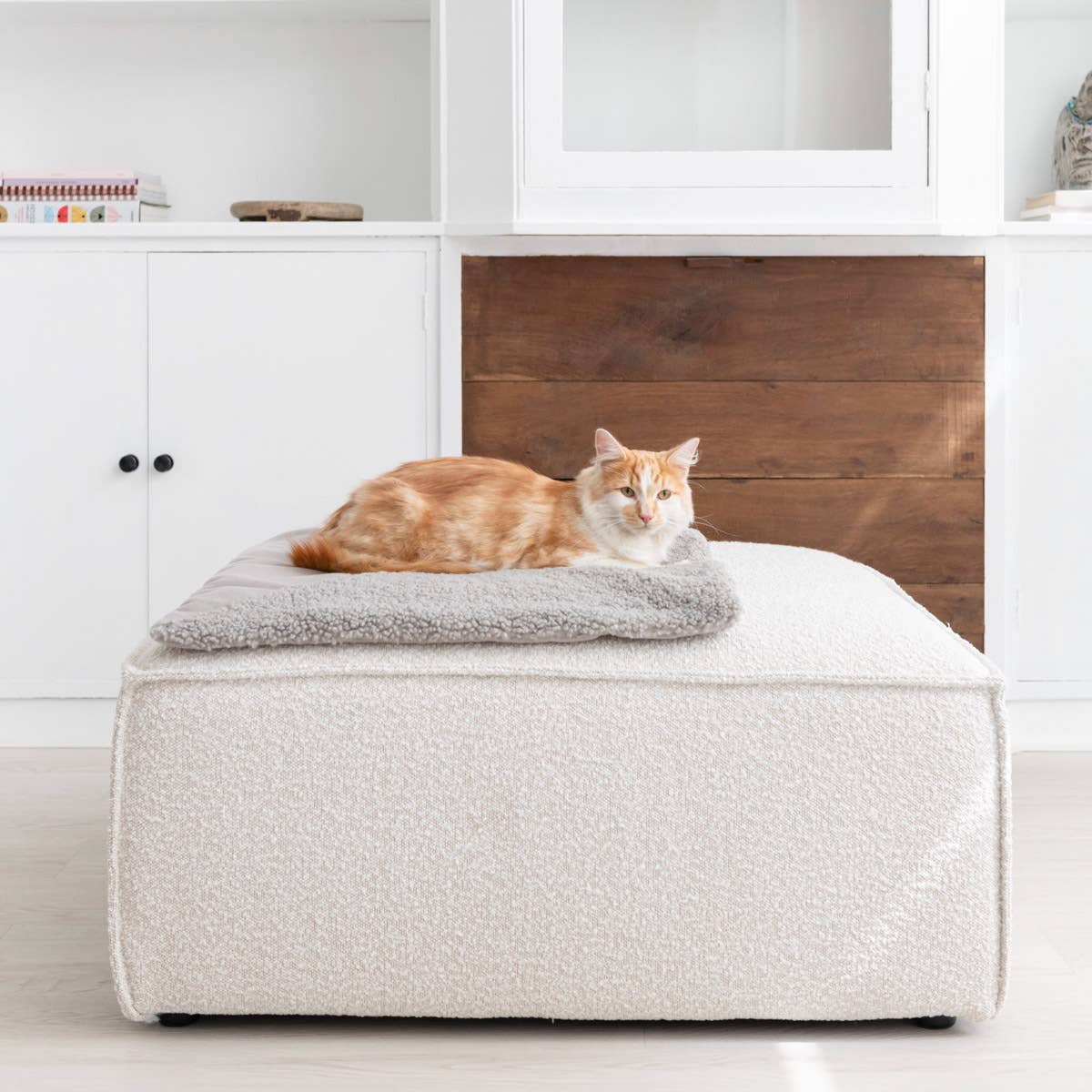 Hoopo - Vendita all'ingrosso Coperta - Gatti - Coperta Tri per gatti6