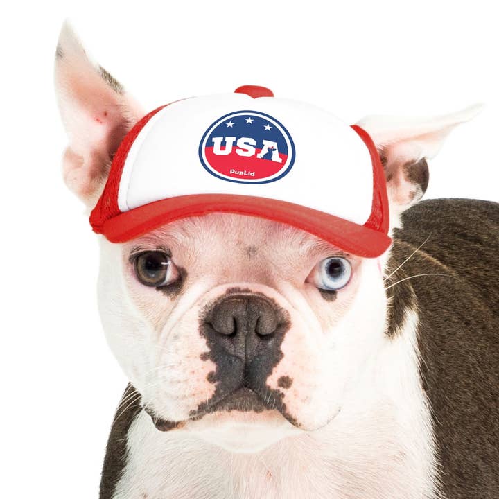 PupLid – wholesale Hatt - Hund – USA Stars Design l Truckerhatt för hundar36