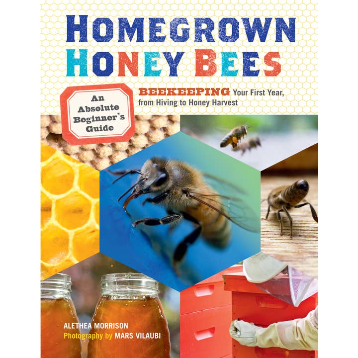 Homegrown Honey Bees for wholesale by Hachette Book Group
