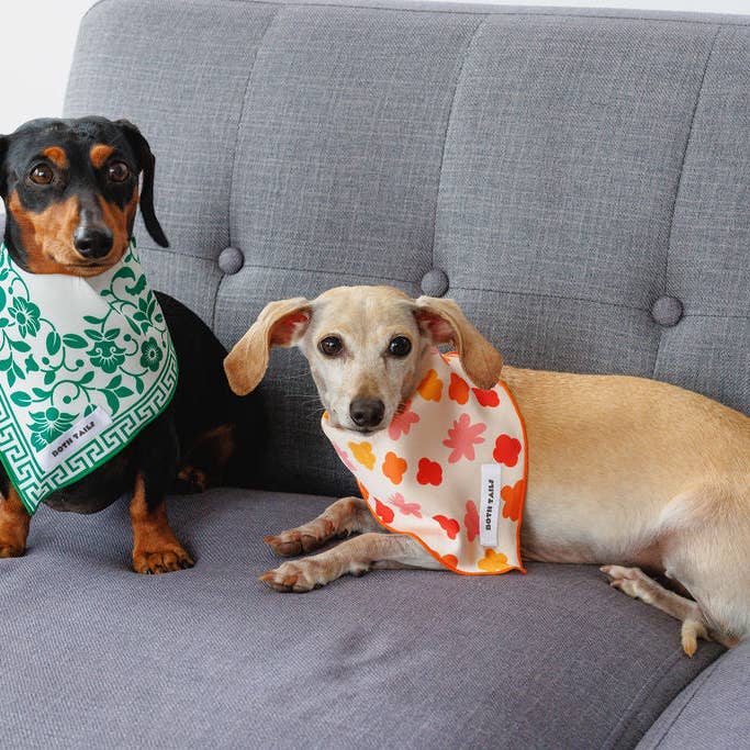 Both Tails - Wholesale Pet Bandana - Dog - Royal Dog Bandana2