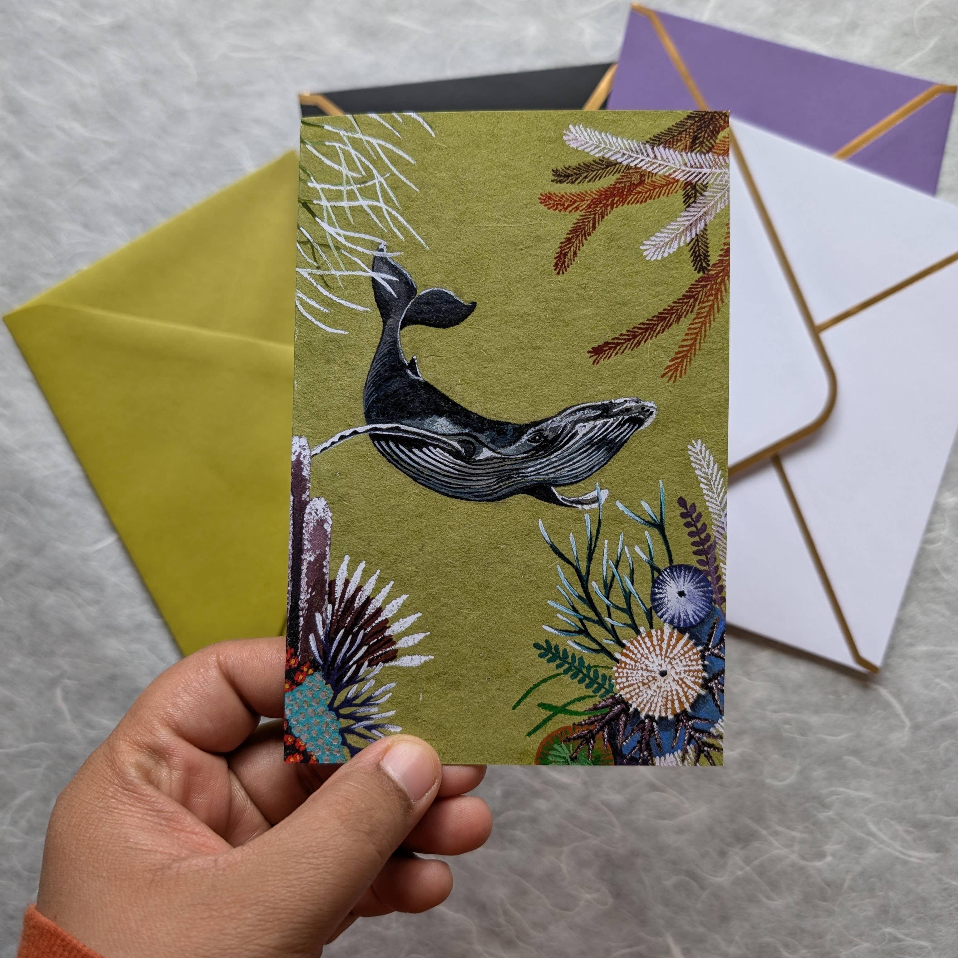 Mantis Shrimp Monocles - Wholesale Everyday Greeting Card - Humpback Whale Greeting Card2