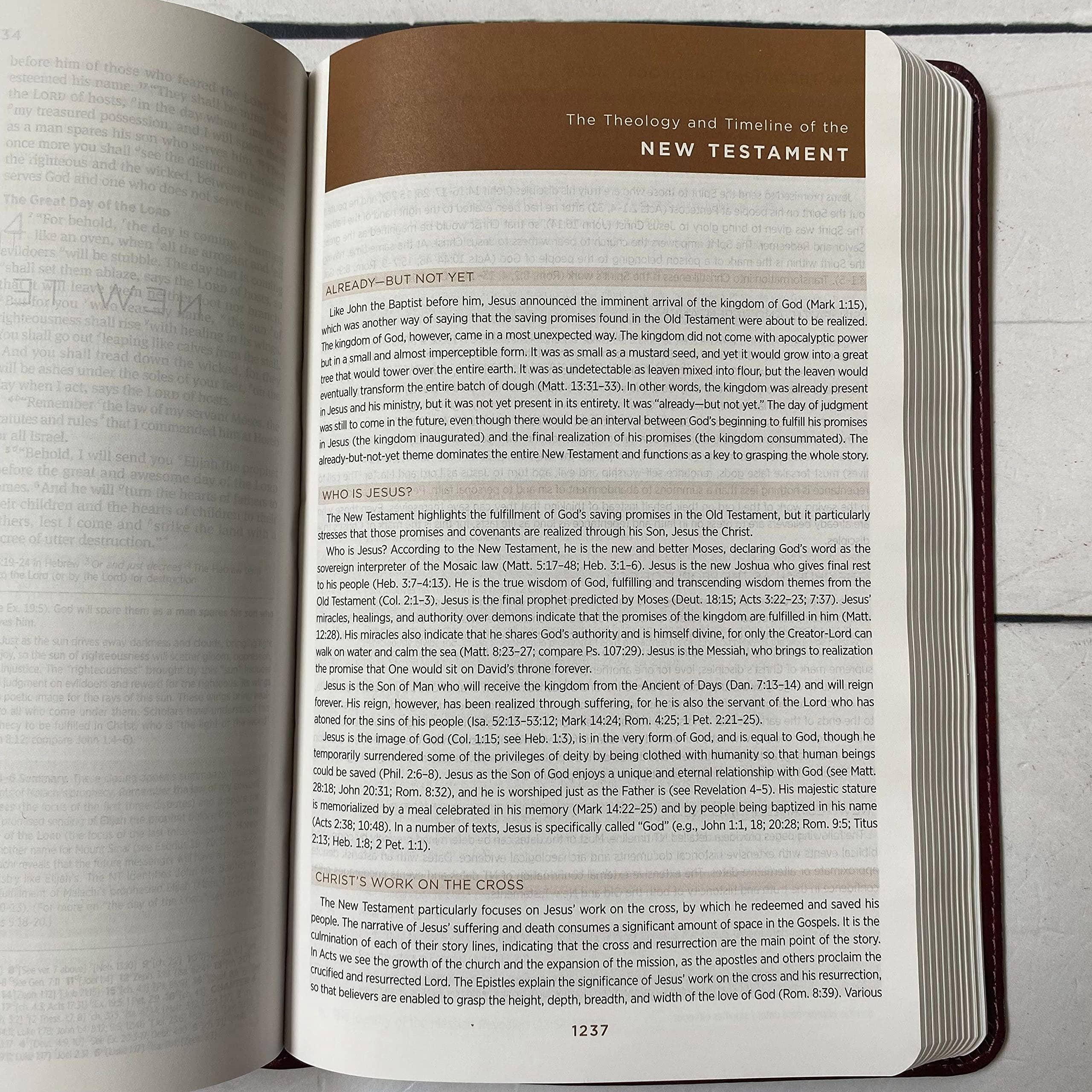 Joy Creative Bibles - Wholesale Religion - ESV Student Study Bible with Names of God6