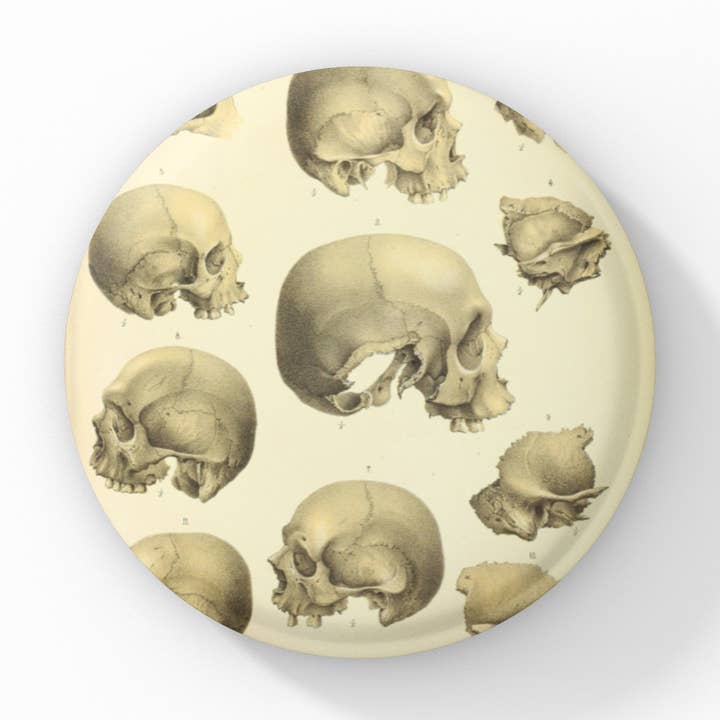 Skallenål, skalnål, skalle nyckelring, skallmagnet för wholesale av NatureCuts