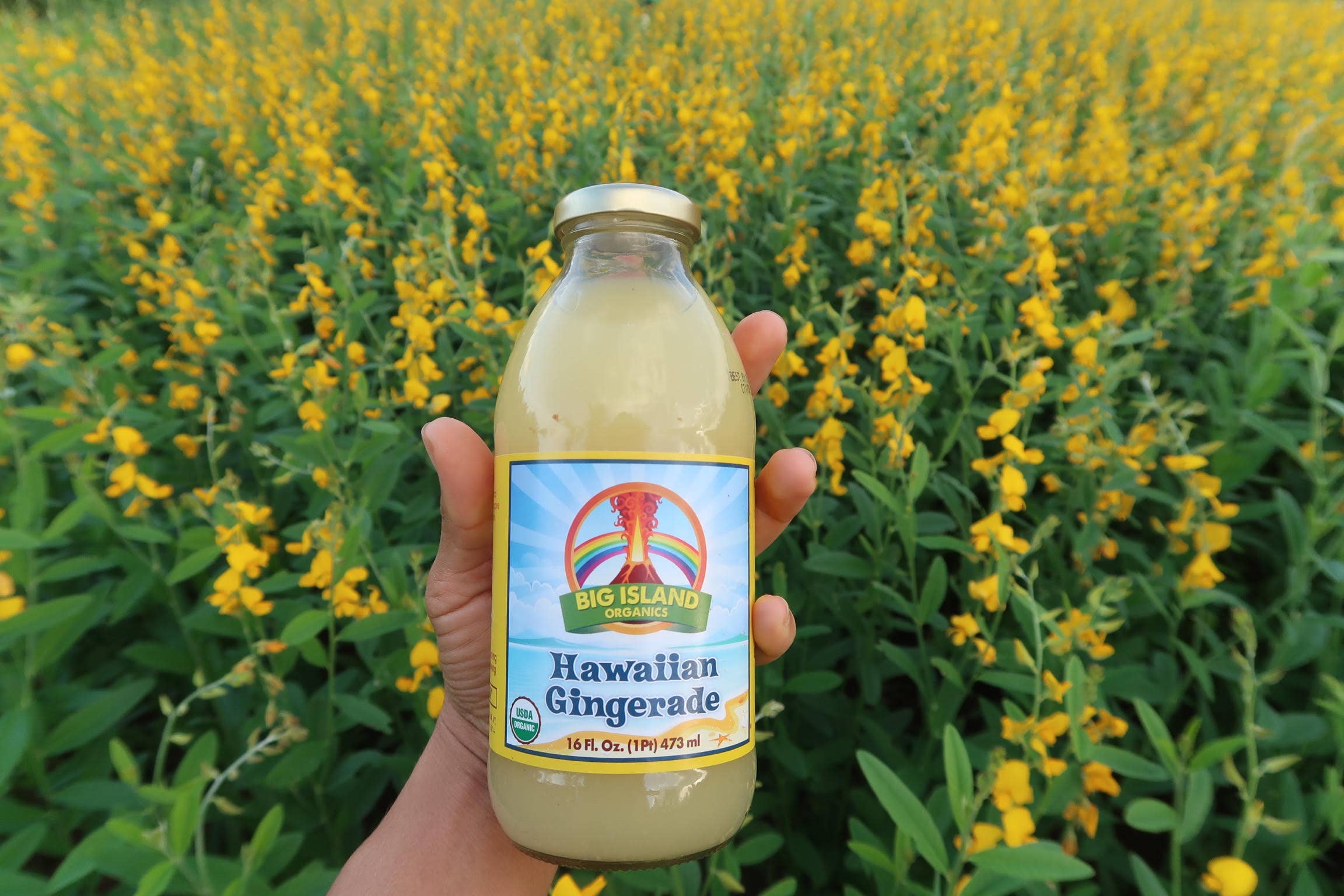 Big Island Organics - Wholesale Soda/Carbonated Drink - Hawaiian Gingerade - 16oz 10-pack2