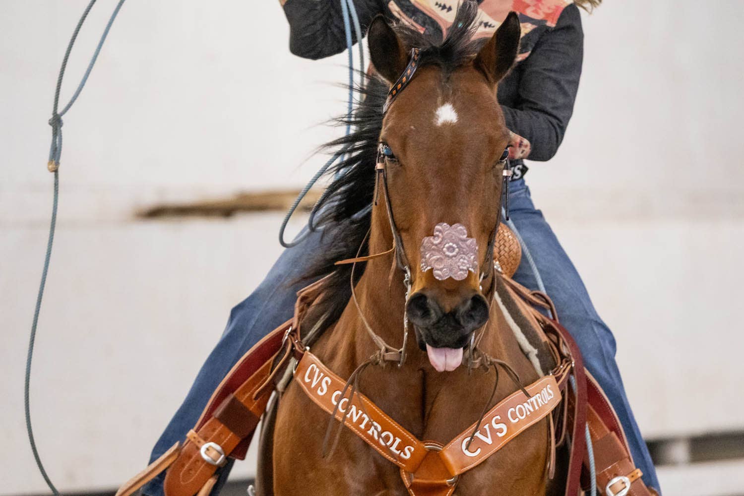 EquiBreathe™ - Vente Équipement d’équitation - EquiBreathe™ Patch Nasal Équin - Cuir Outilé8