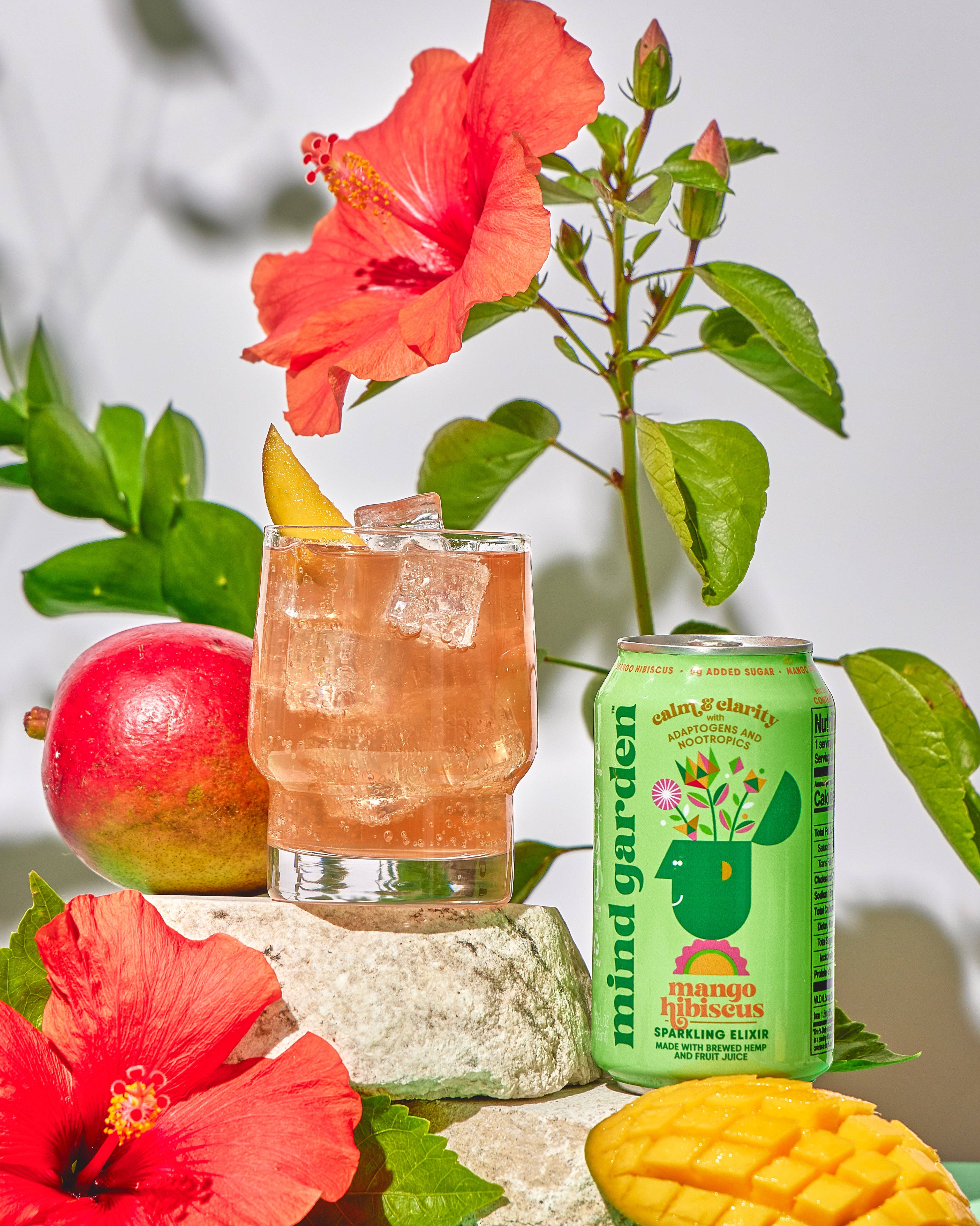 Mind Garden - Wholesale Wellness Juice/Tonic - Mind Garden Adaptogen Mango Hibiscus Drink (12-Pack)5