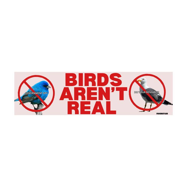 Frog Mustard Stickers – wholesale Sticker – Birds aren't real