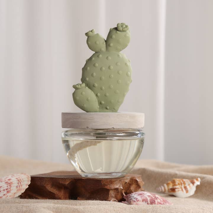 Pretty Valley Home – Engroshandel Duftolie med pinde – Cactus - Bunny Ear Cactus keramisk diffuser gavesæt - 100ml