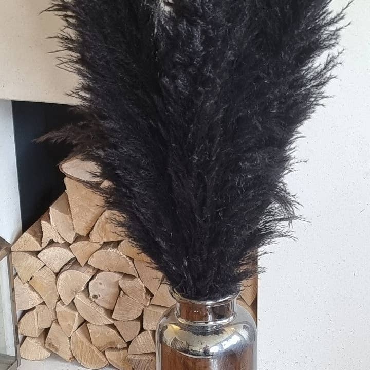 LoveProducts Ltd – wholesale Dried/pressed flowers – Pampas Grass Large black Fluffy Dried pampas arrangement5