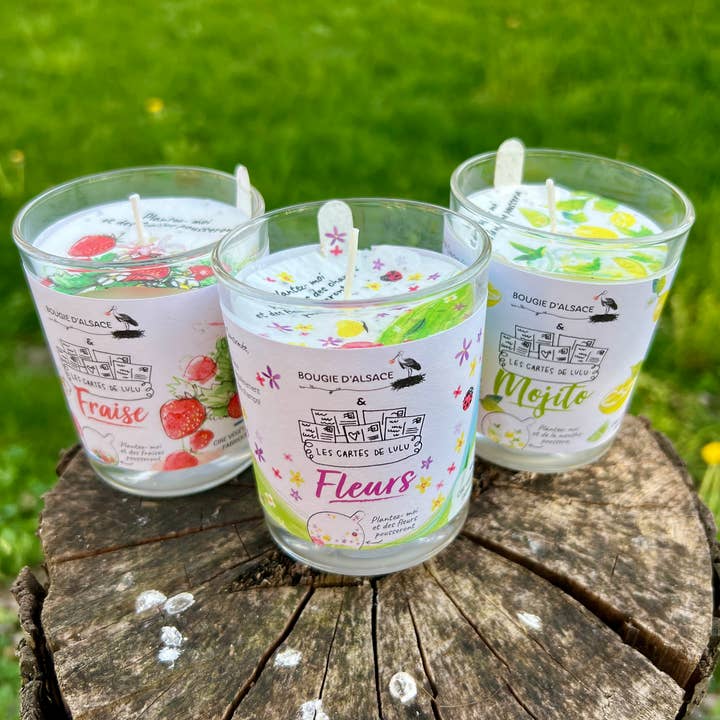 Velas para plantar las cartas de Lulu x Vela de Alsacia para venta al por mayor de Les cartes de Lulu