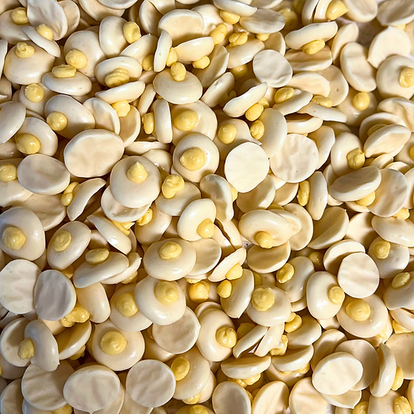 Nummy Nums Organic Pet Treats Kapolei LLC - Wholesale Pet treats – Dog - Goat Milk Eggies2