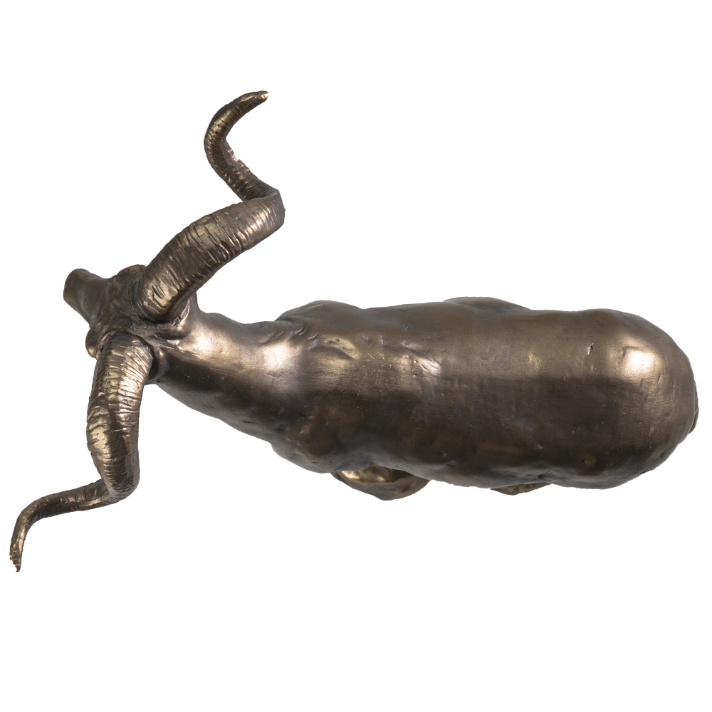 Pacific Trading - Wholesale Decorative Figurine - Big Horn Sheep4