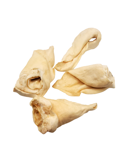 Dibo Pet Foods - Wholesale Pet Treats - Dog - Beef Ears - Dog Chews1