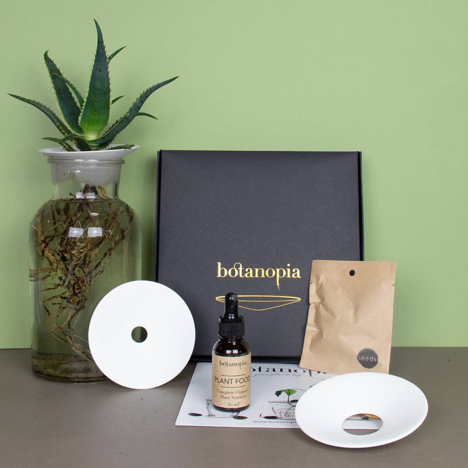 Botanopia - gifts , decor and cards for plant lovers - Wholesale Zaadjes voor platten - Deluxe Cadeauset – Kiemen en Kweken op water12