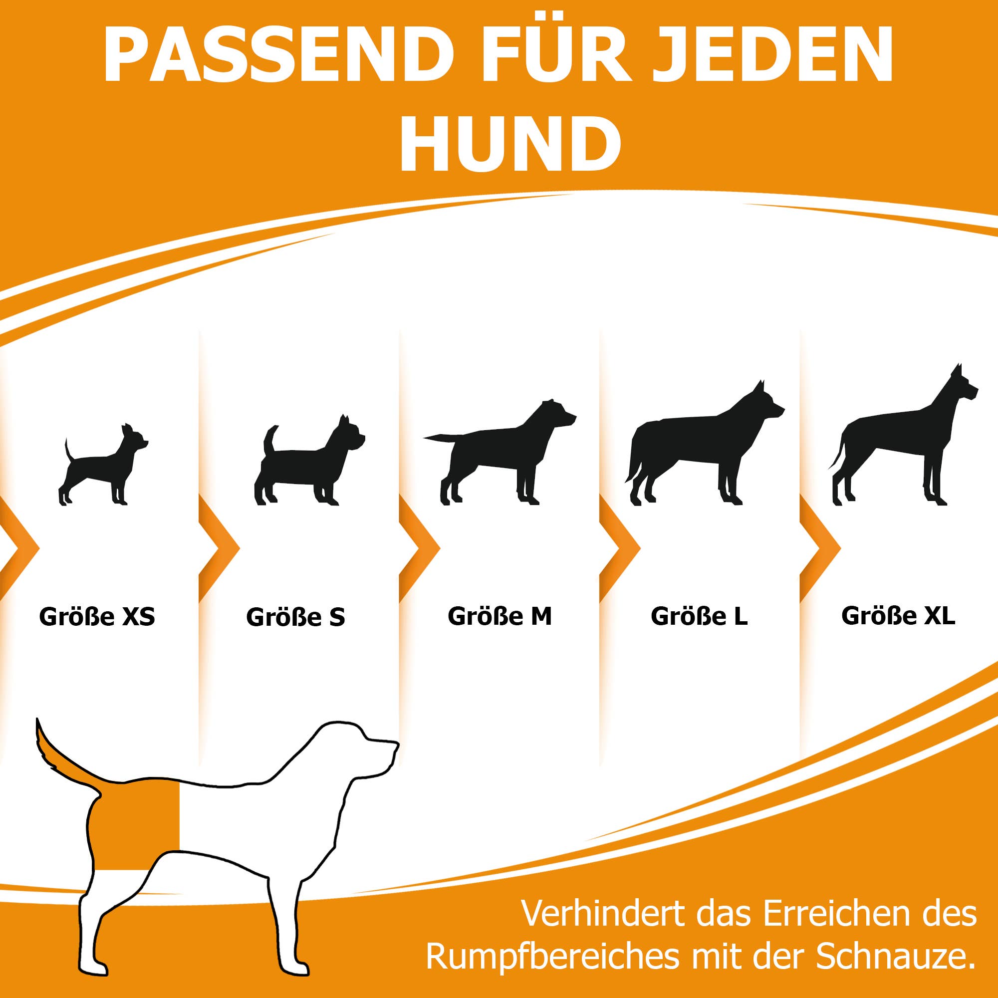 Kleck - Wholesale Pet Collar - Dog - Kleck Leak Protection4