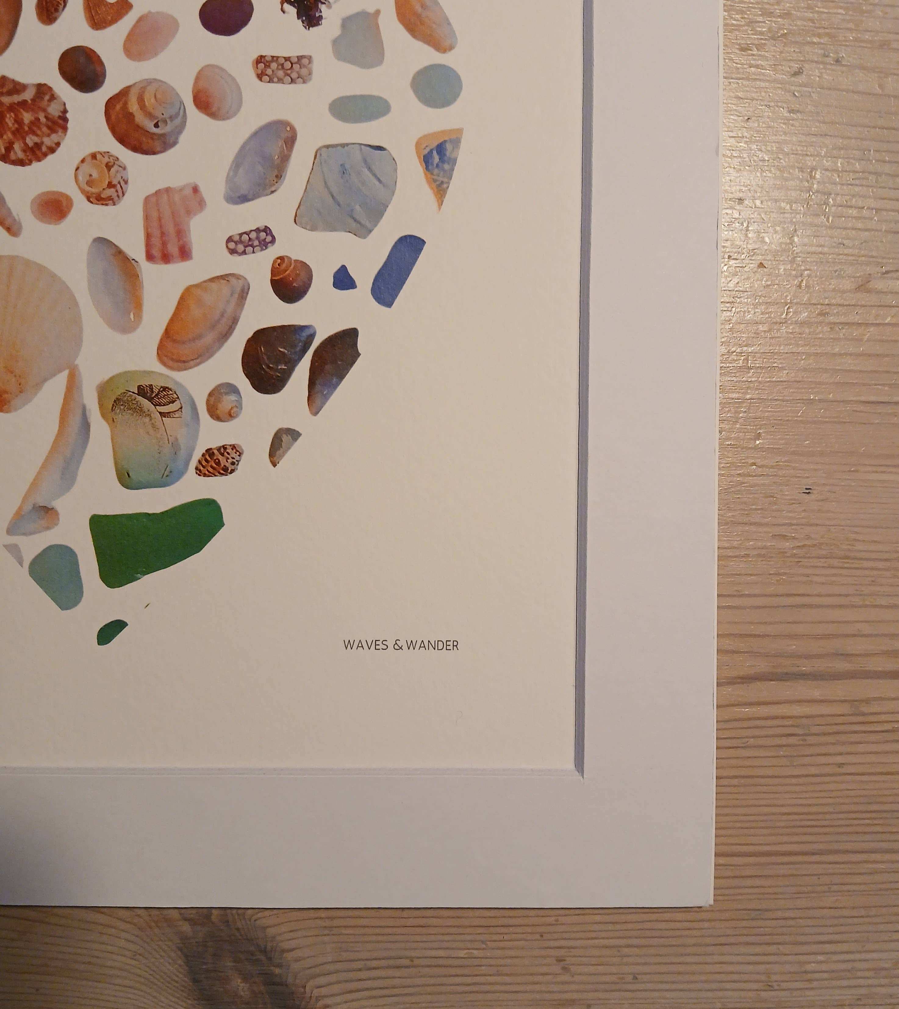 Waves & Wander - Wholesale Art Print - Shell Art Print - Coastal Colours - 10 x 10  4