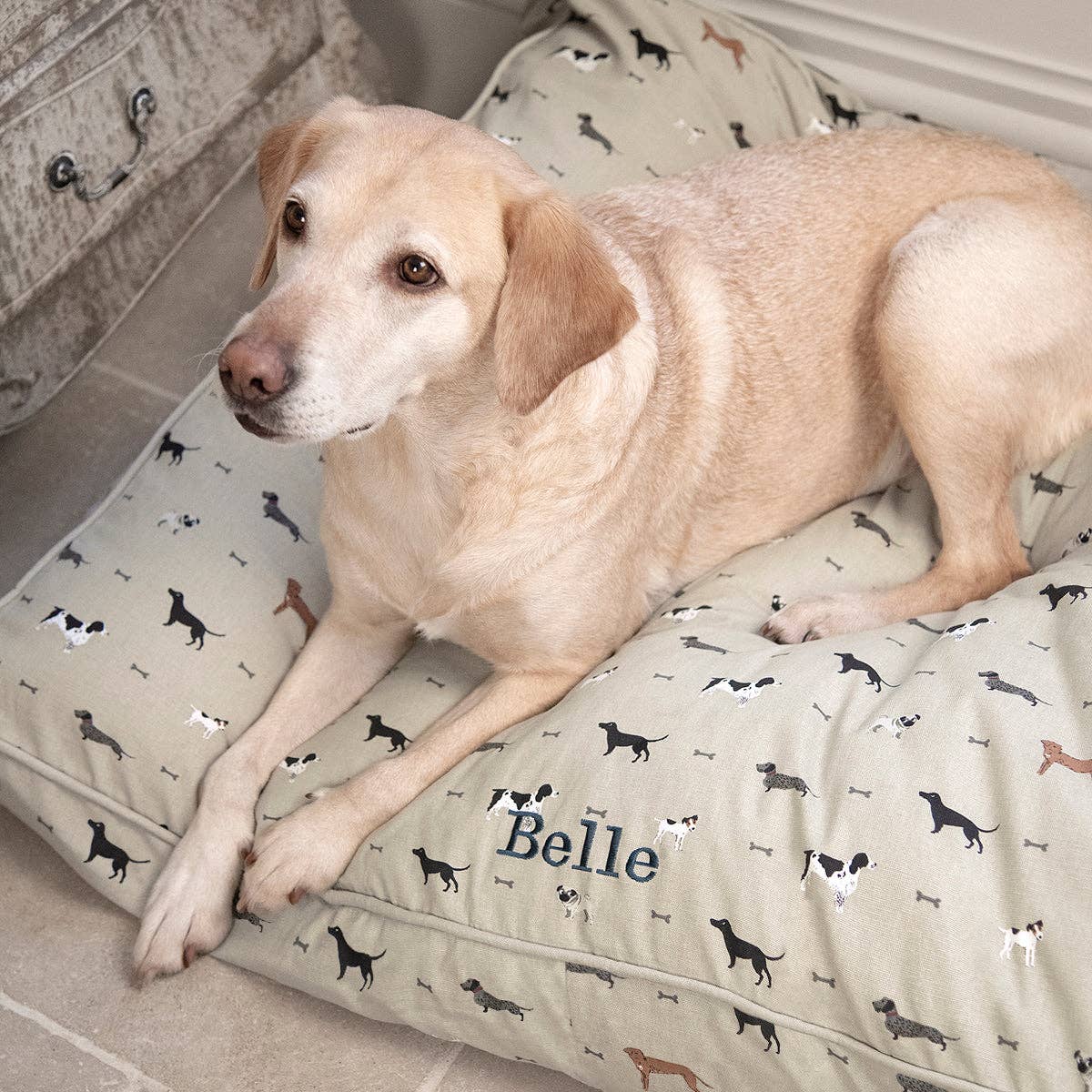 Sophie Allport - Wholesale Pet Bed - Dog - Woof Pet Mattress5