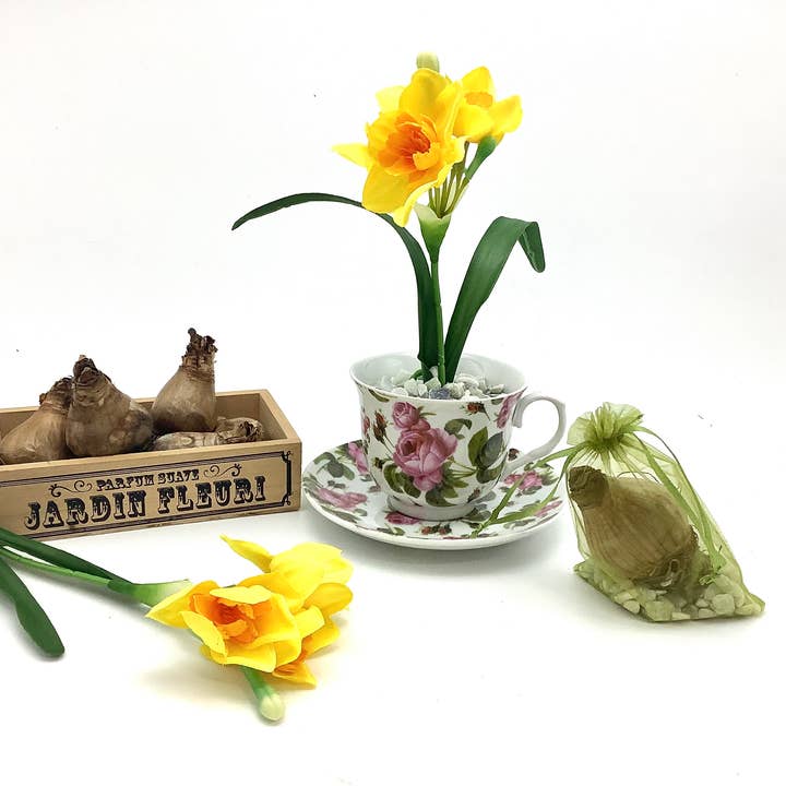 All Little Cute Things - Wholesale Party Favor - Dutch Daffodil Bulb in a Teacup, Garden Tea Party Favors